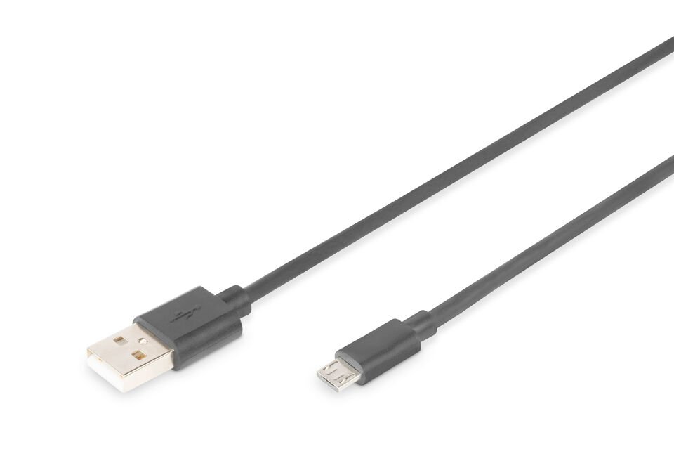 Assmann AK-300110-018-S