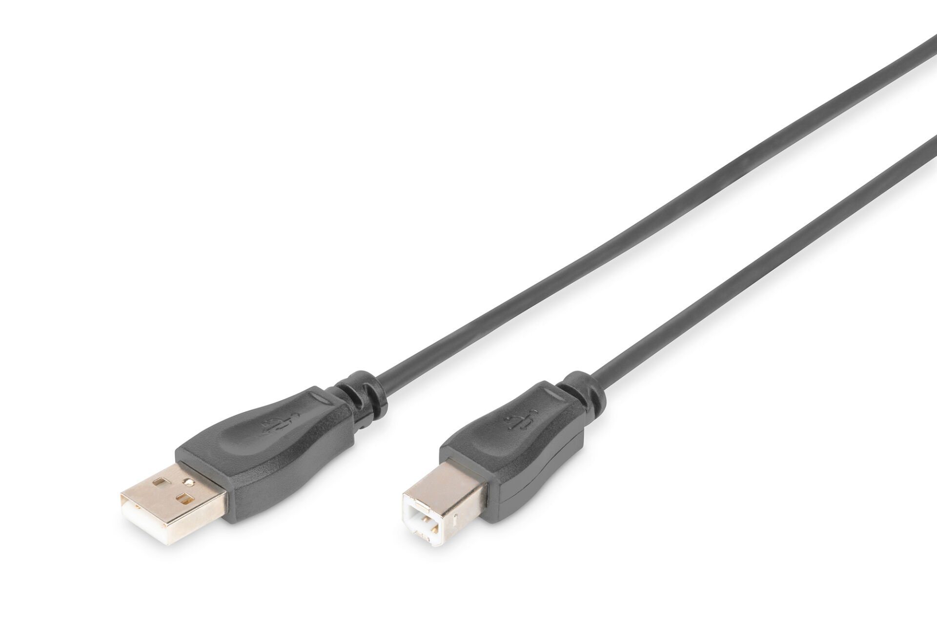 Assmann AK-300105-005-S